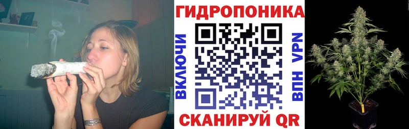 Наркота Андреаполь ГАШИШ  A PVP  КОКАИН  МЕФ  Каннабис 