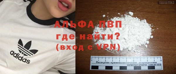 крисы Алзамай