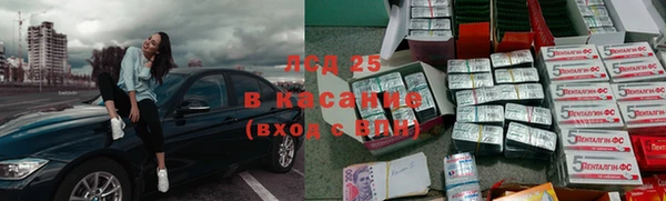 крисы Алзамай