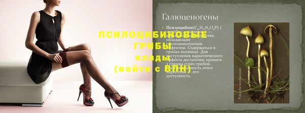 крисы Алексин