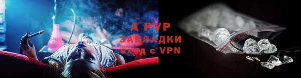 крисы Алексин