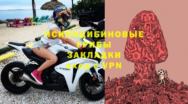 крисы Алексин