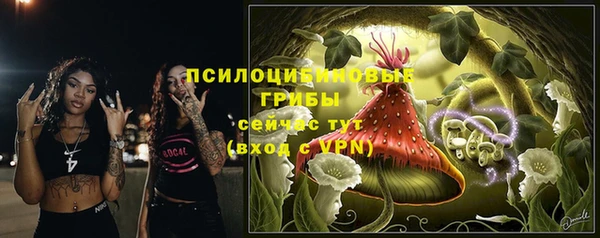 крисы Алексин