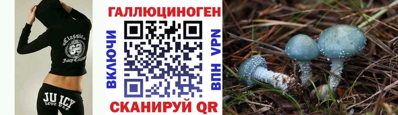 Псилоцибиновые грибы Cubensis  где продают   Андреаполь 